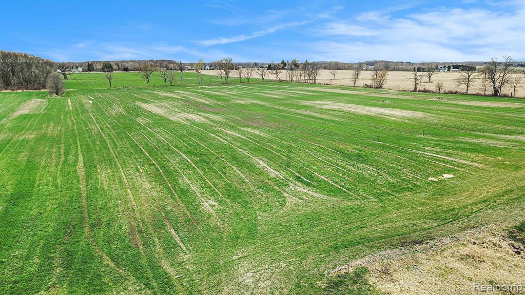 VL Parcel 2 Mohrle Road, Fowlerville, MI 48836 — Photo 7