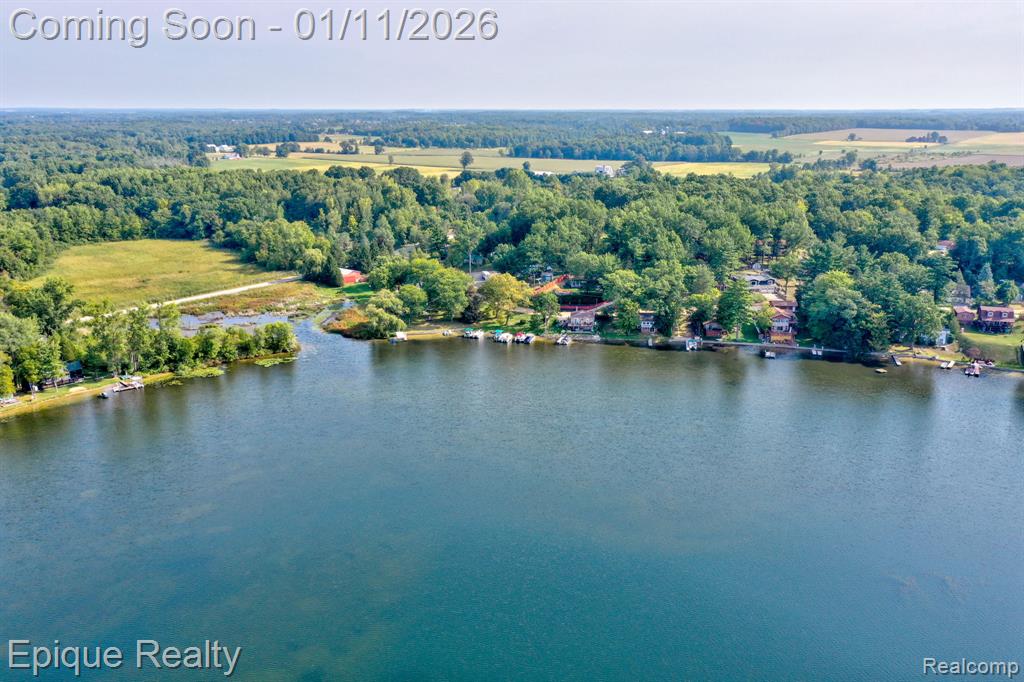 1422 E Barnes Lake Road, Columbiaville, MI 48421 — Photo 38