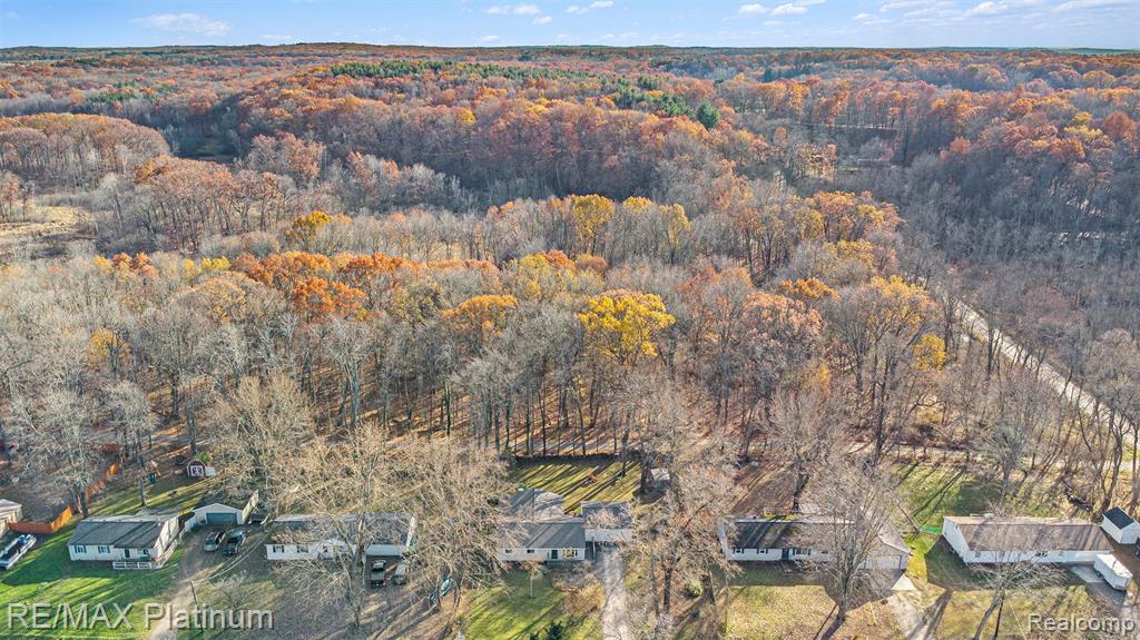 4653 Webberdale Drive S, Holly, MI 48442 — Photo 7