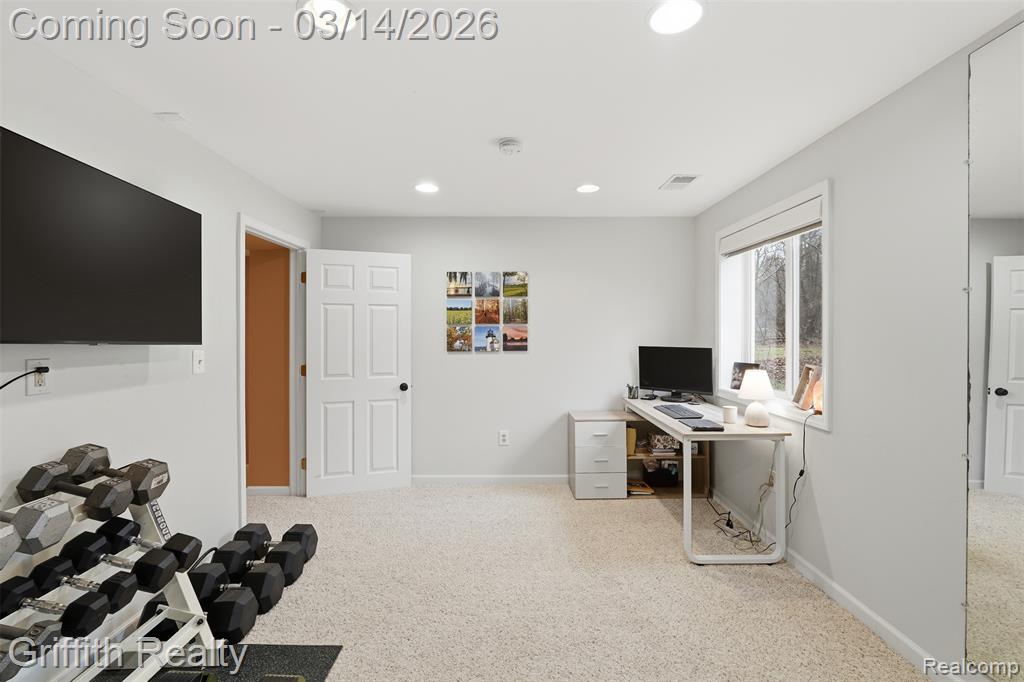 1172 Buckingham Road, Haslett, MI 48840 — Photo 37
