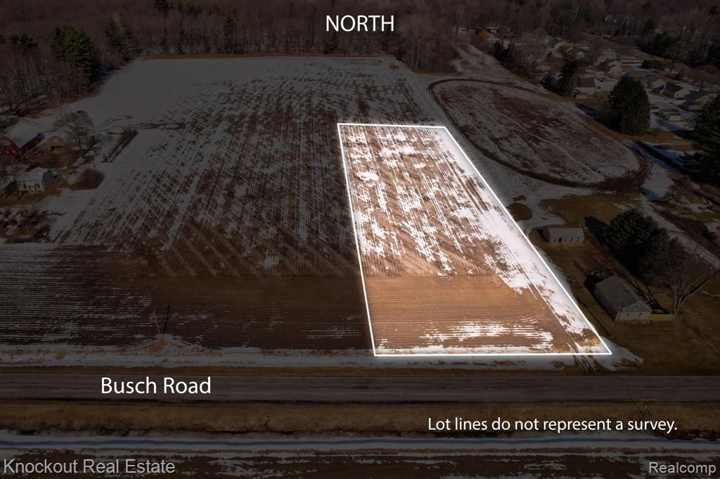 VL Busch (Parcel A) Road, Birch Run, MI 48415 — Photo 2
