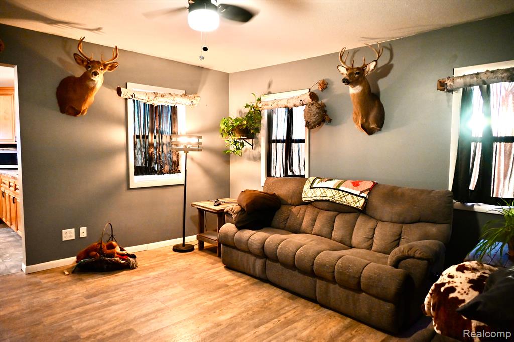12101 TODD Road, Ida, MI 48140 — Photo 22
