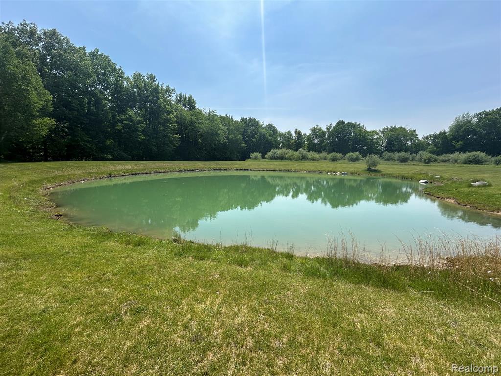 4420 Five Lakes Road, North Branch, MI 48461 — Photo 44