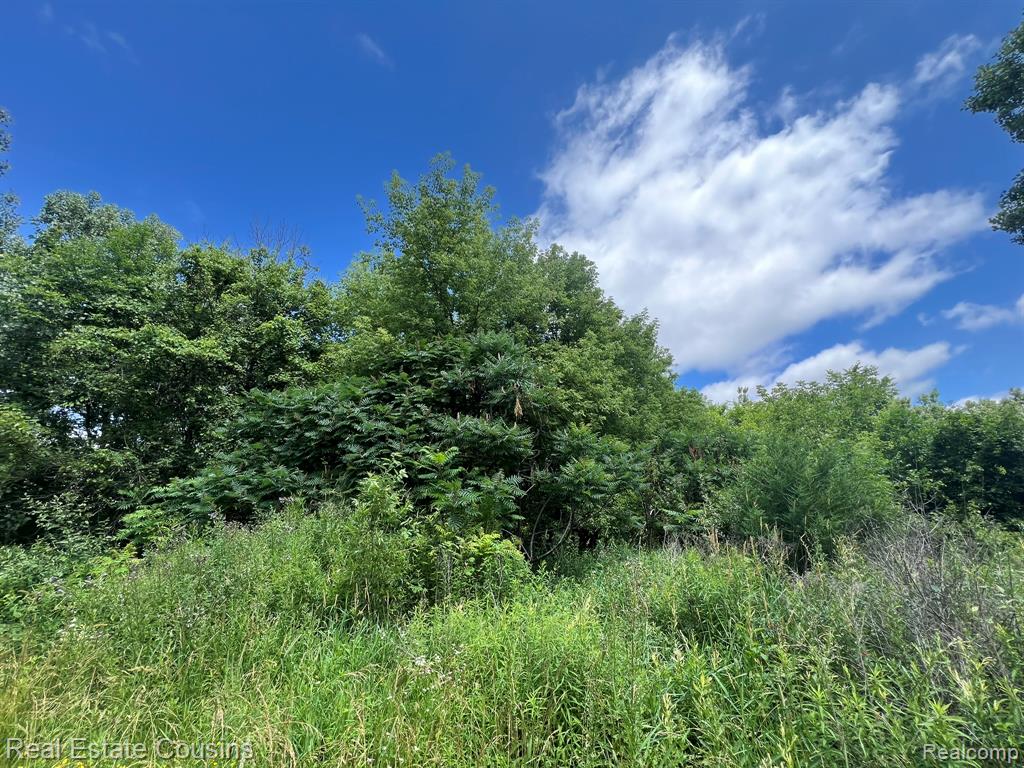 5440 Lobdell Road, Fenton, MI 48430 — Photo 13
