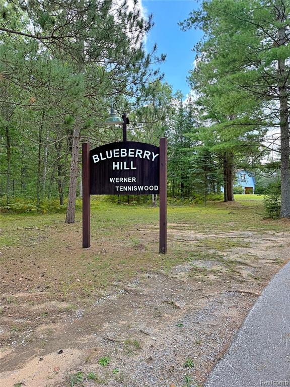 2199 Blueberry Hill Rd - Photo 3