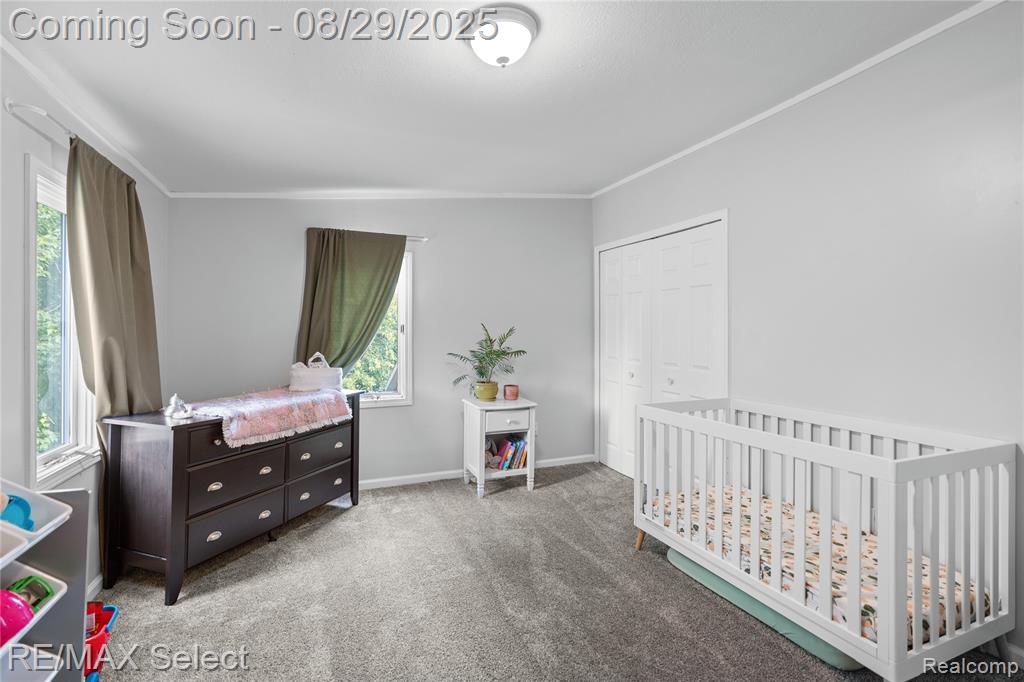 6308 River Road, Flushing, MI 48433 — Photo 39