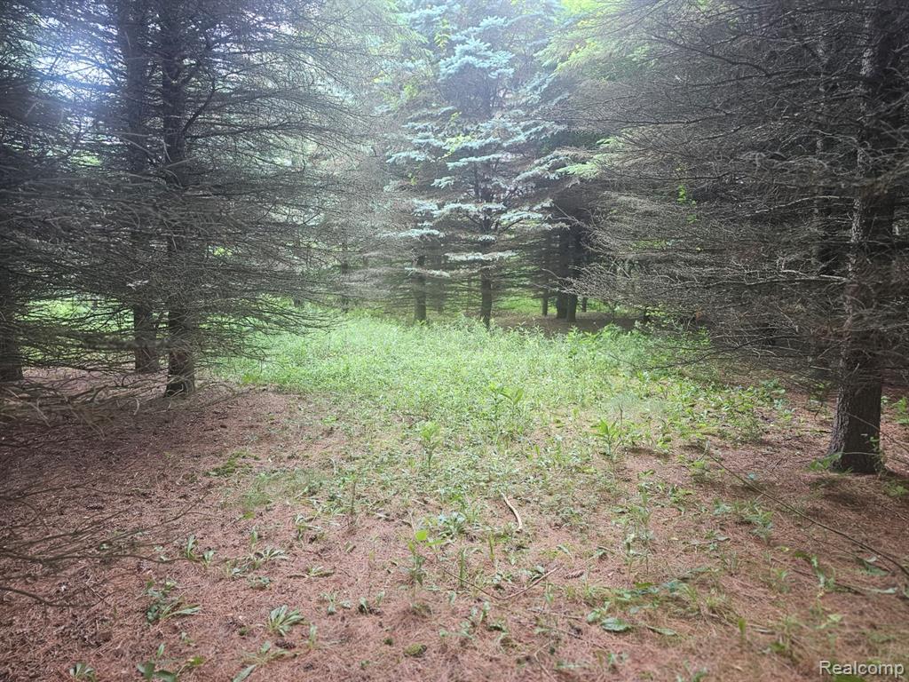 VL Millville Road, Lapeer, MI 48446 — Photo 11
