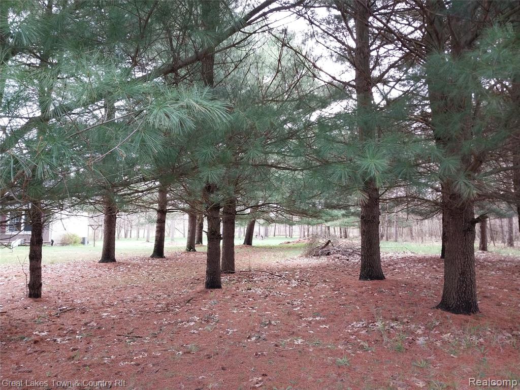 4166 Marathon Rd, Columbiaville, MI 48421 — Photo 5