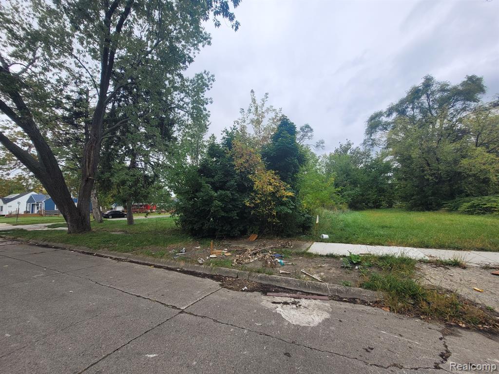 20511 CALDWELL Street, Detroit, MI 48234 — Photo 3