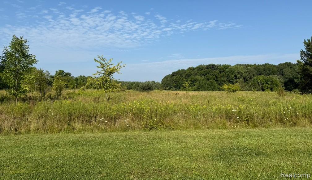 4320 Seymour Road, Swartz Creek, MI 48473 — Photo 28