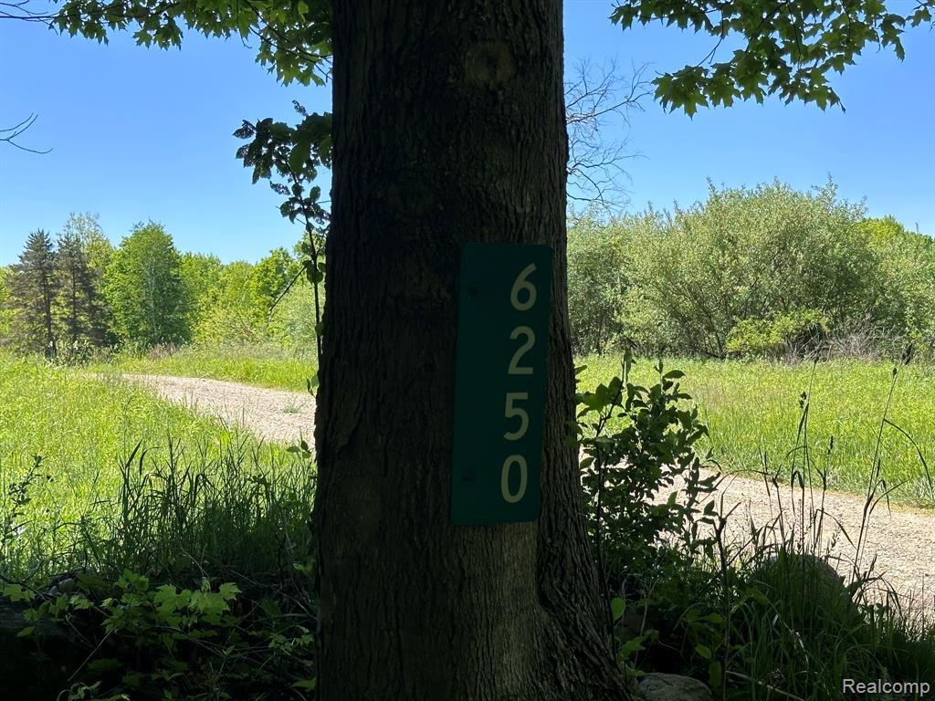 6250 Stine Road, Imlay City, MI 48444 — Photo 78