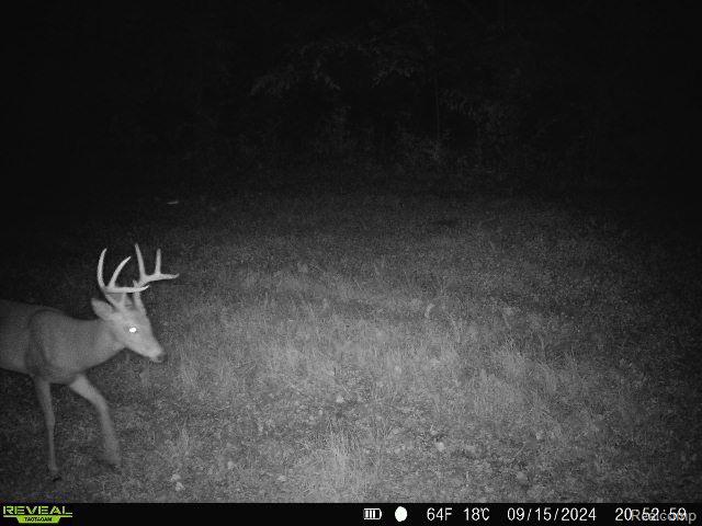 V/L BLAKE Road, Jackson, MI 49201 — Photo 4