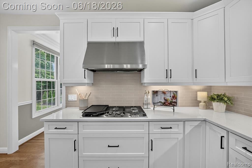 49515 Taft Lane, Canton, MI 48188 — Photo 19