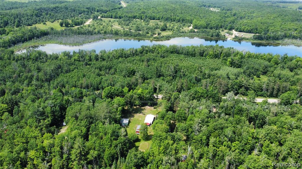 779 W Cr-612, Grayling, MI 49738 — Photo 17