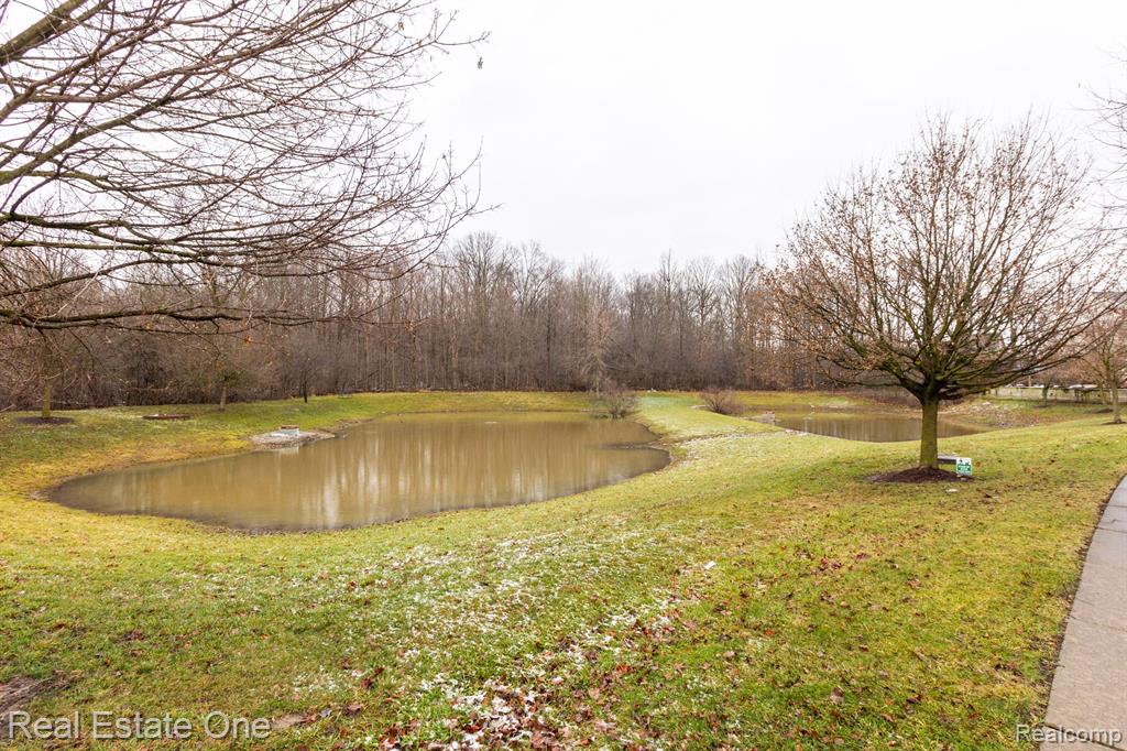 3281 NIAGARA Avenue, Canton, MI 48188 — Photo 47