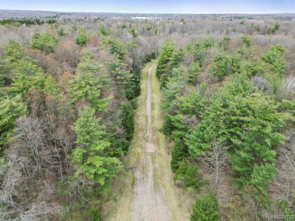 4.23 Acres VL - KNIGHTS BRIDGE Road, Leonard, MI 48367 — Photo 18