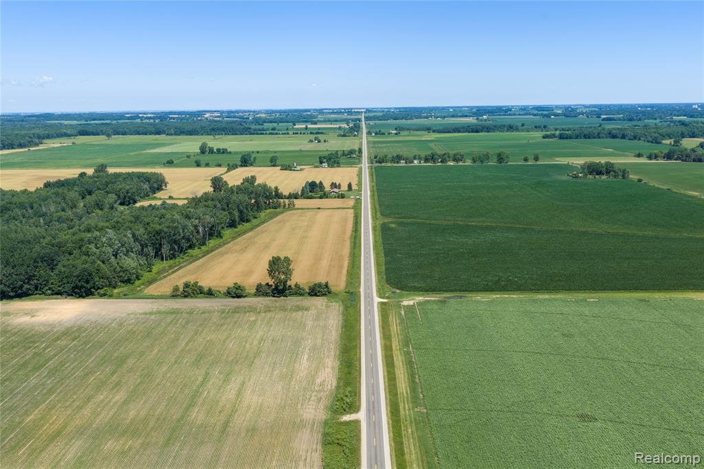 Parcel A Dodge Rd, Cass City, MI 48726 — Photo 13