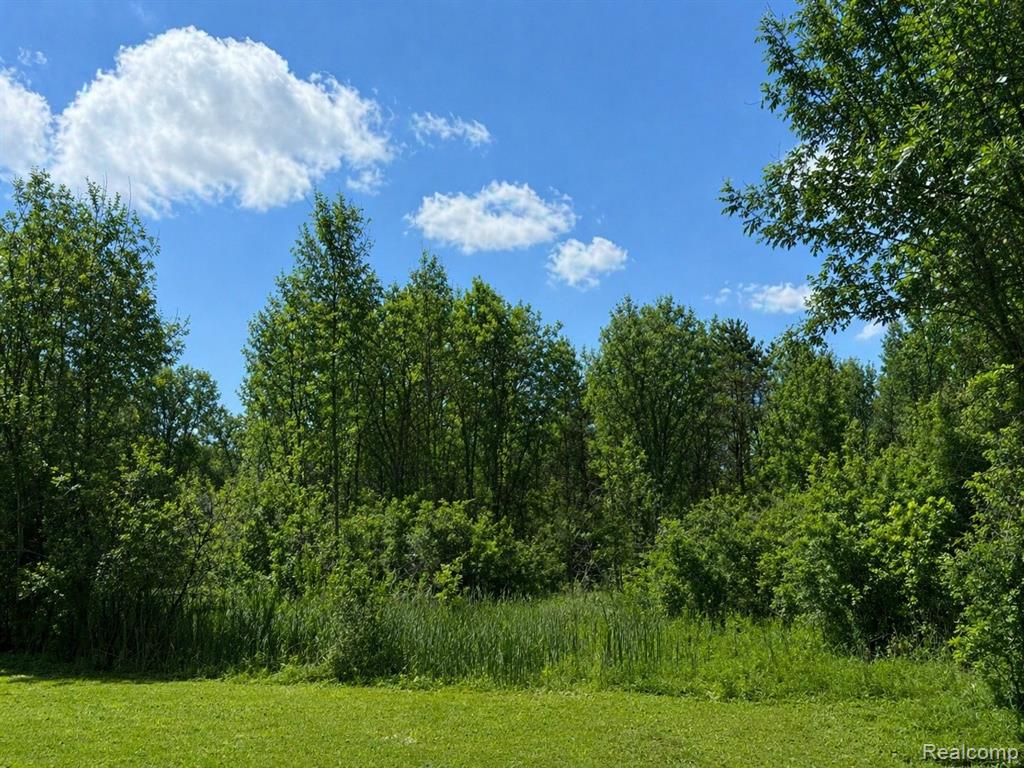 1223 Lexa Lane, Flint, MI 48507 — Photo 3