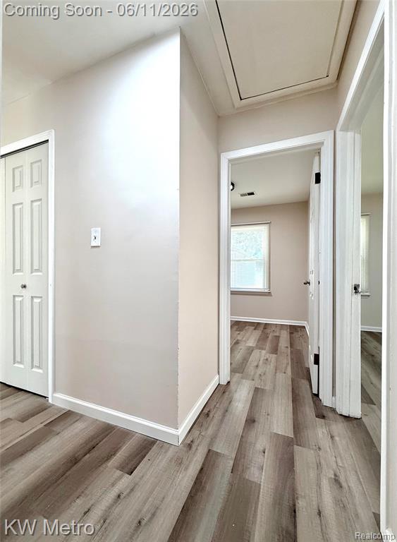 53 E Brickley Avenue, Hazel Park, MI 48030 — Photo 17