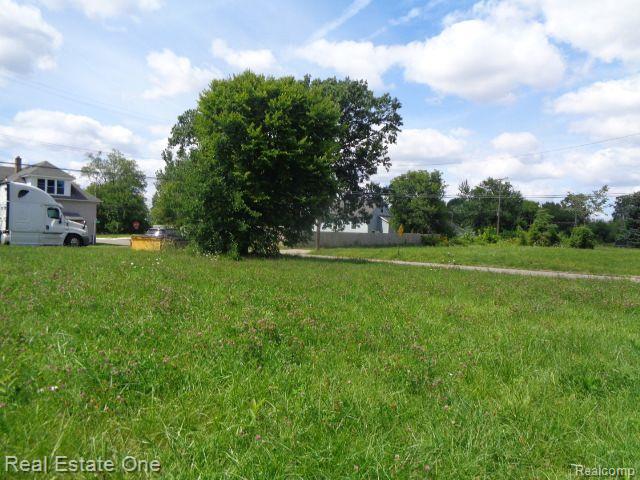 13291 SPARLING Street, Hamtramck, MI 48212 — Photo 5