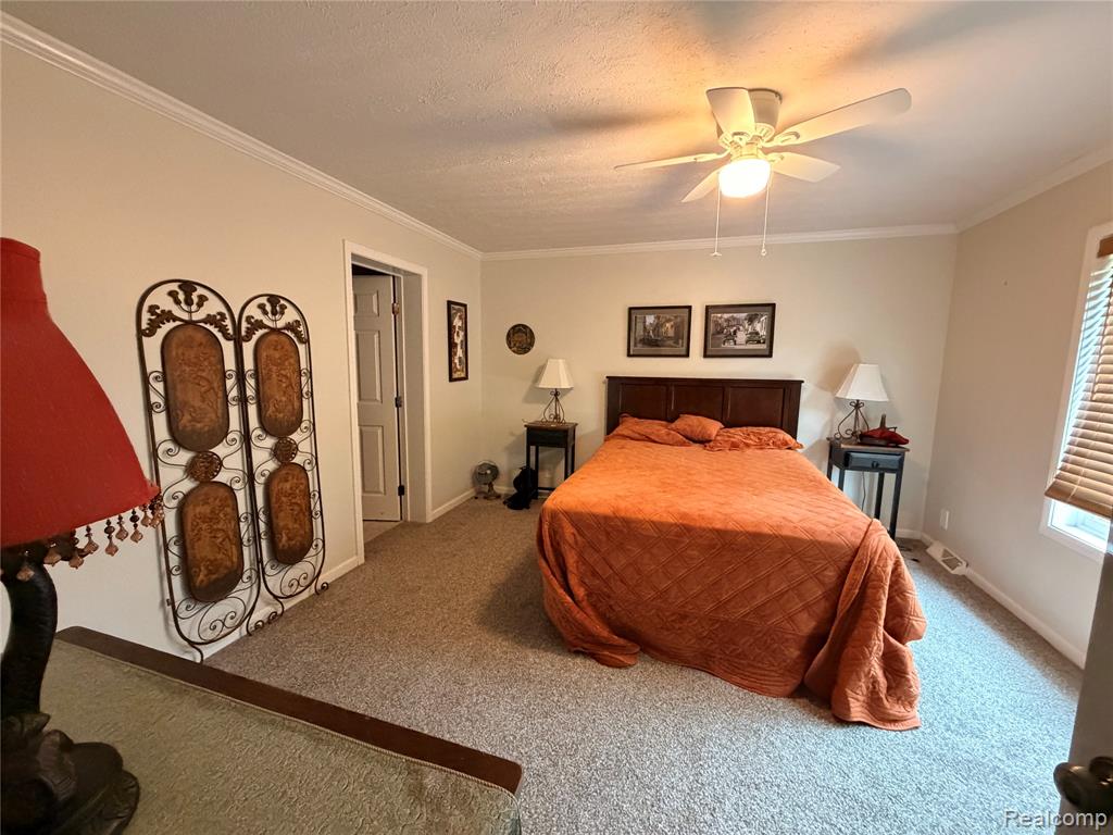 337 Lafayette Street, Manchester, MI 48158 — Photo 13