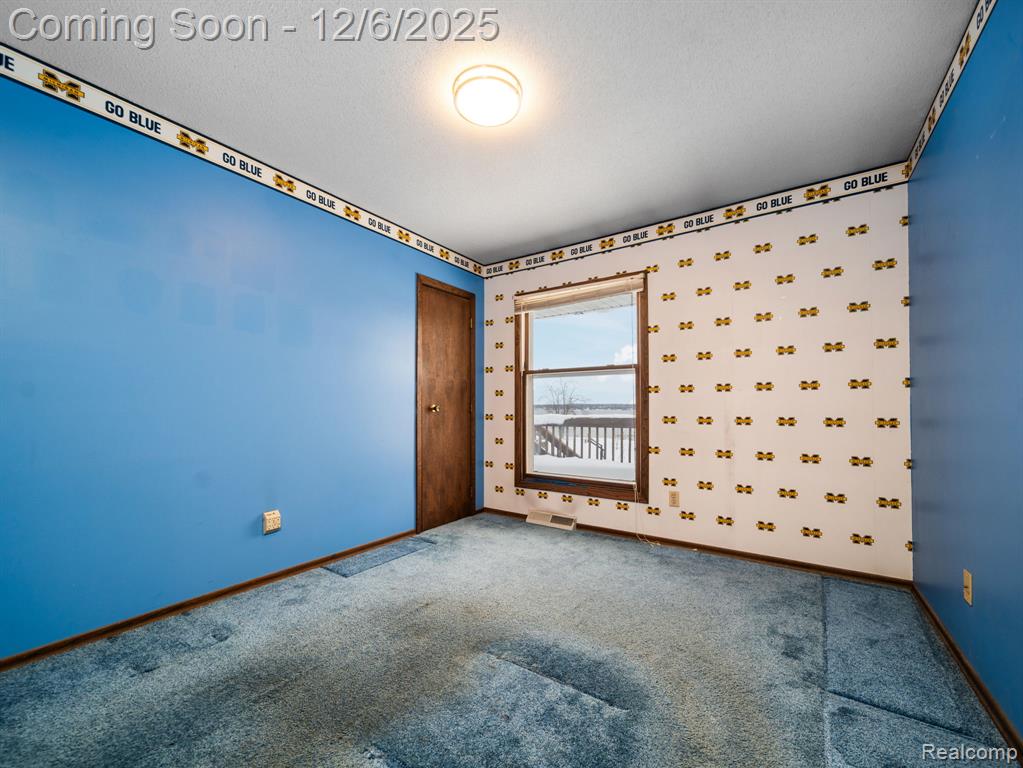 5886 S Green Avenue, Fremont, MI 49412 — Photo 19