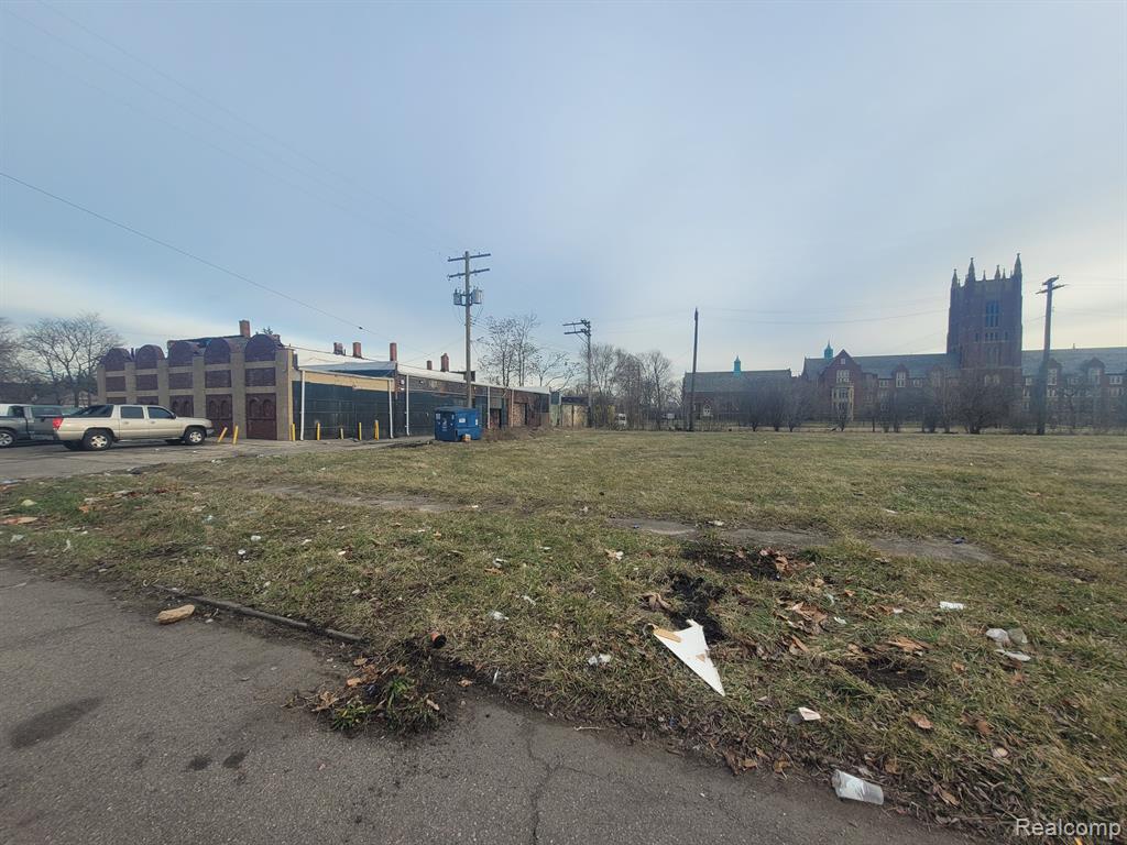 2629 ROCHESTER Street, Detroit, MI 48206 — Photo 5