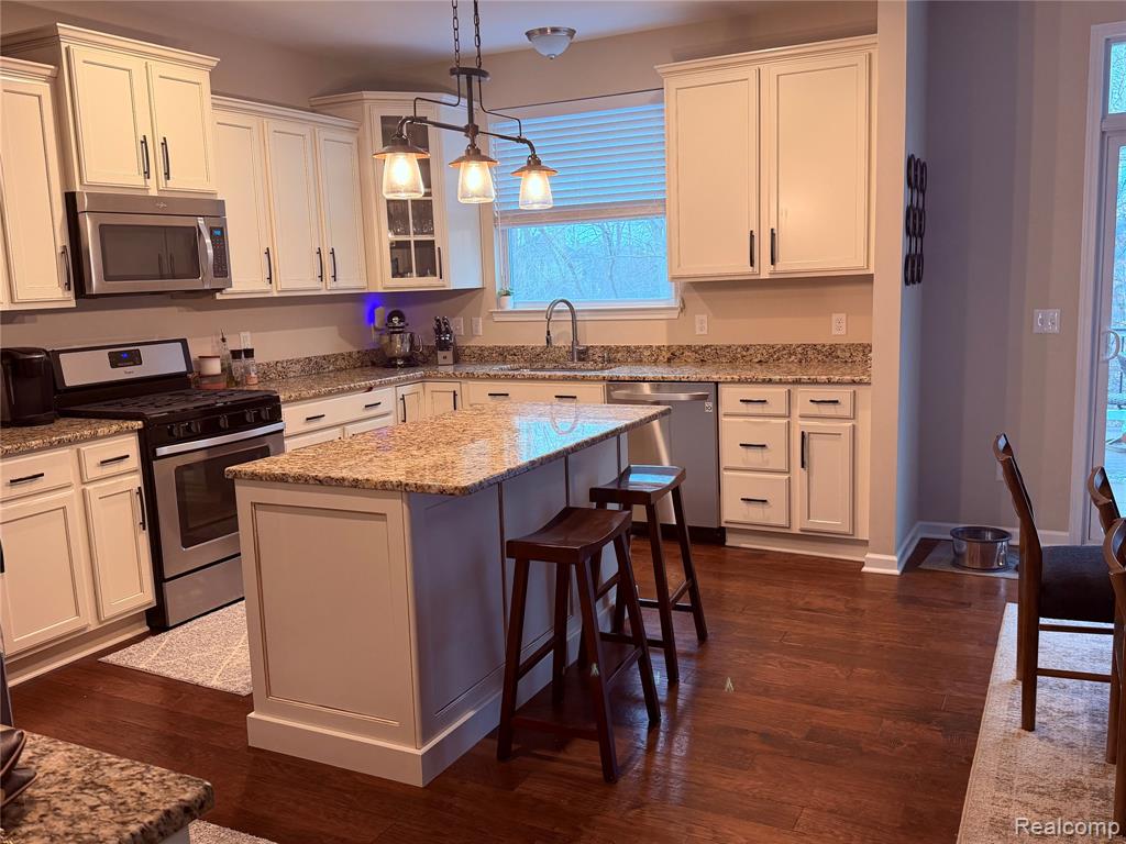 58143 Sunflower Circle S, New Hudson, MI 48165 — Photo 5
