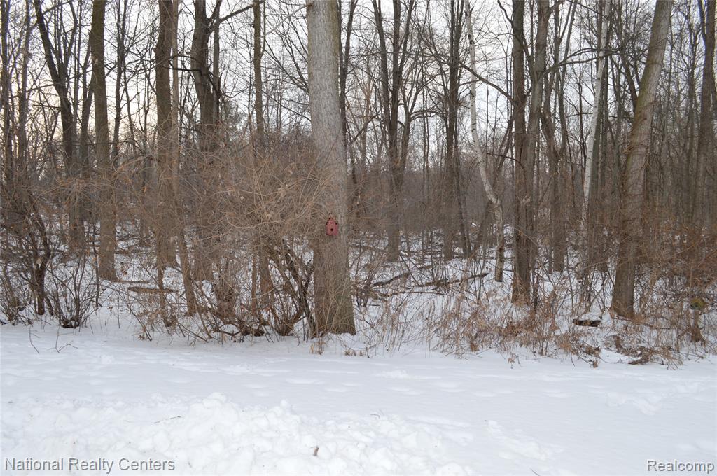 9642 Nook Road, 7, Clay, MI 48001 — Photo 3