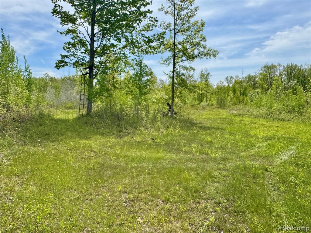 499 E Winegars Road, Gladwin, MI 48624 — Photo 8