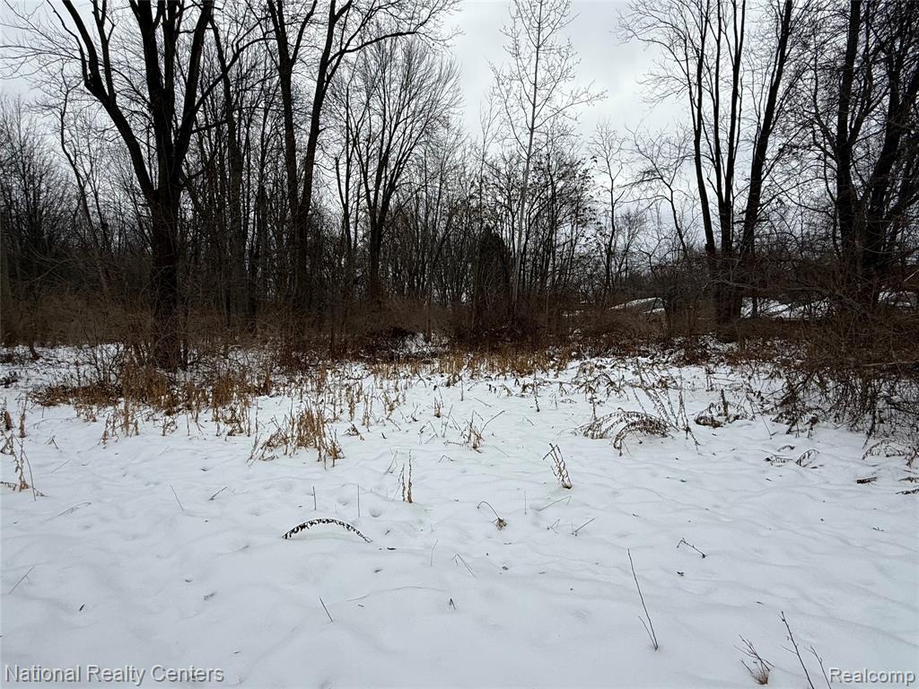Vacant Ecorse Road, Romulus, MI 48174 — Photo 4