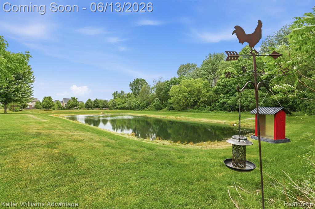 23740 Stoneleigh Drive, South Lyon, MI 48178 — Photo 59