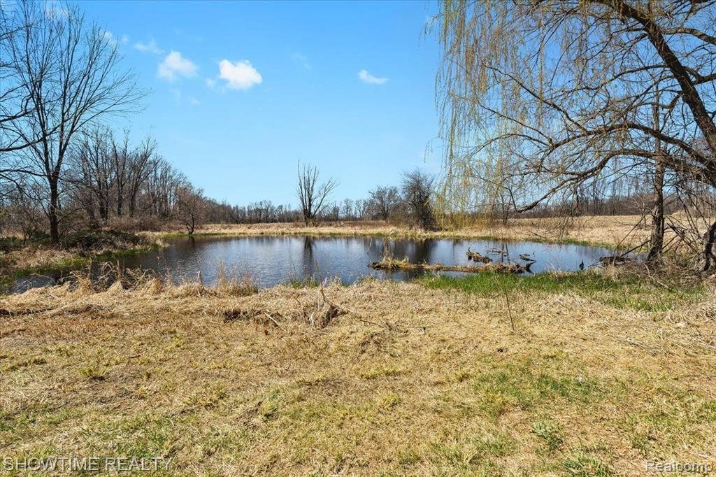 7100 DEWEESE Road, Jackson, MI 49201 — Photo 43