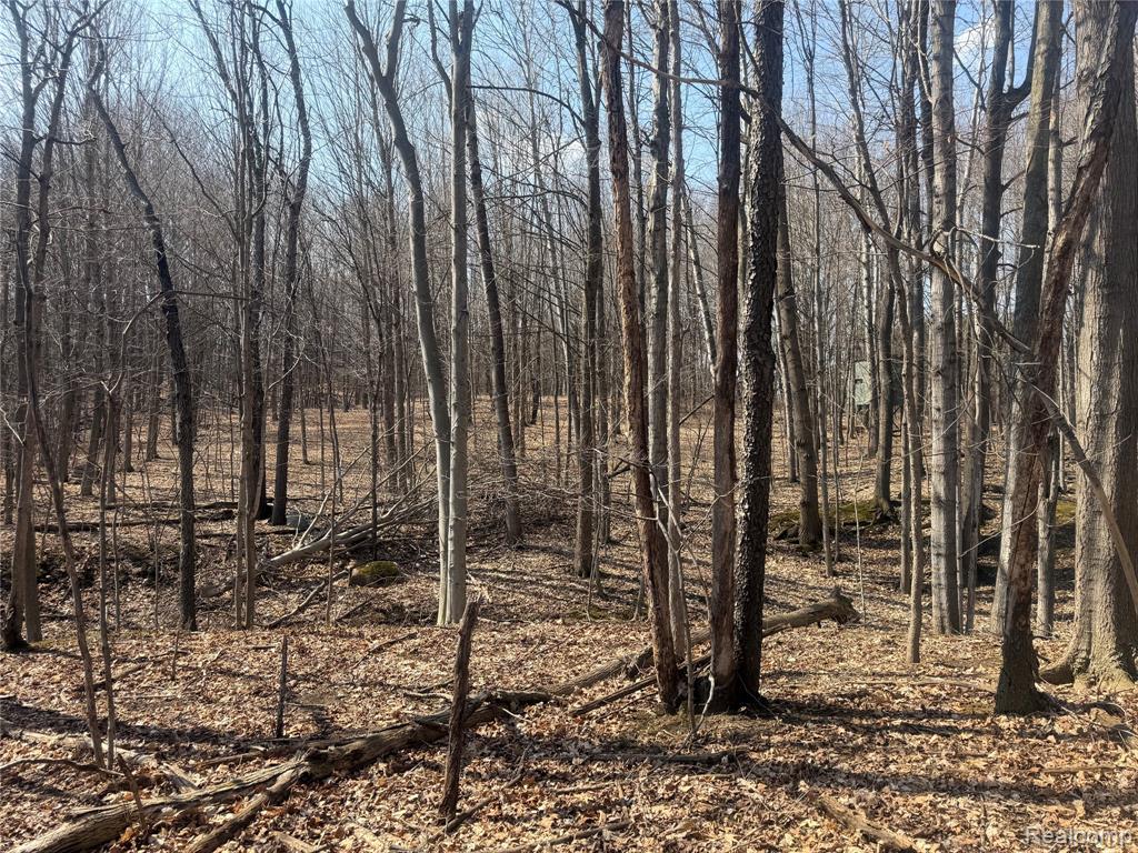 V/L Fulton, Mayville Vlg, MI 48744 — Photo 20