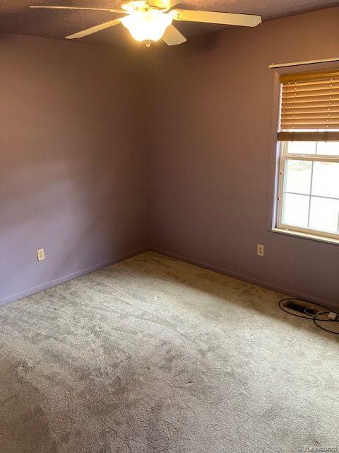 363 NELSON Street, Harbor Beach, MI 48441 — Photo 22