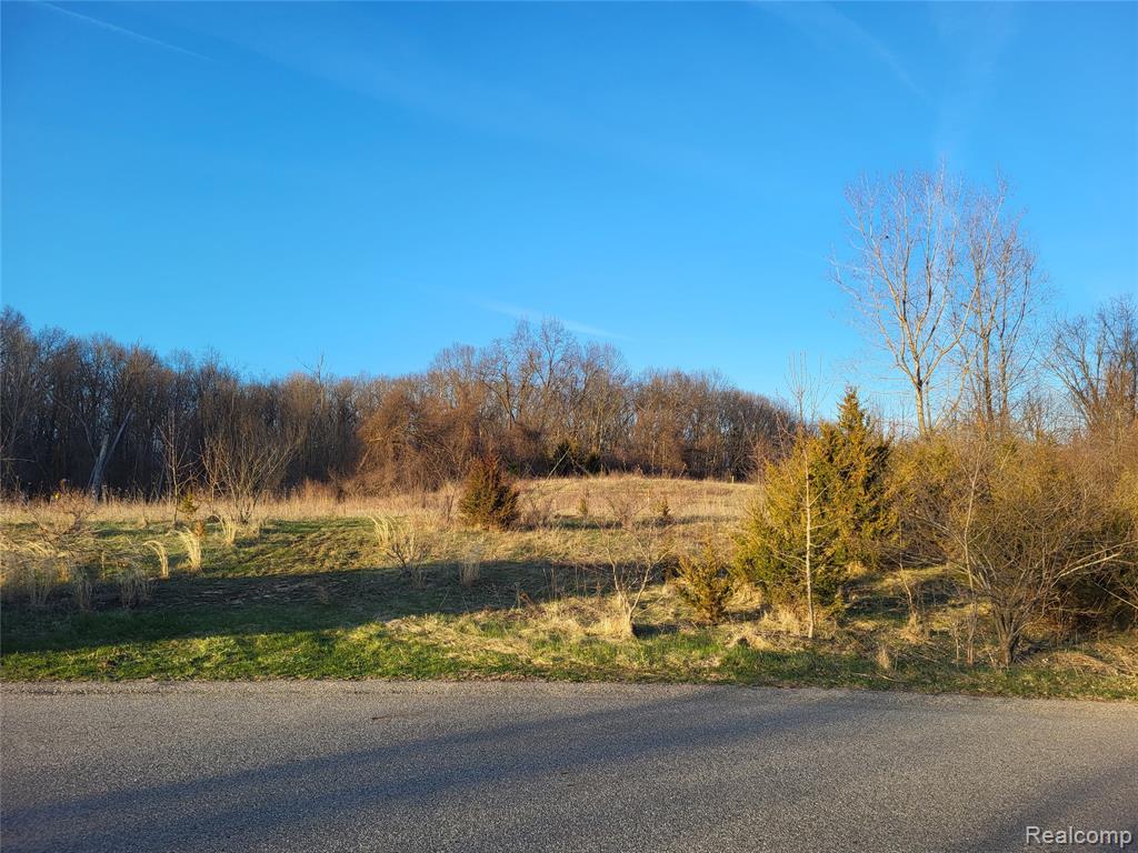 TBD Parcel B Olivia Drive, Milford, MI 48380 — Photo 5