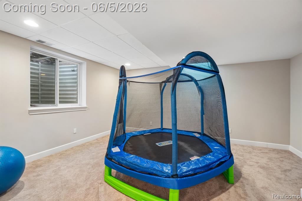 47566 Alpine Drive, Novi, MI — Photo 51