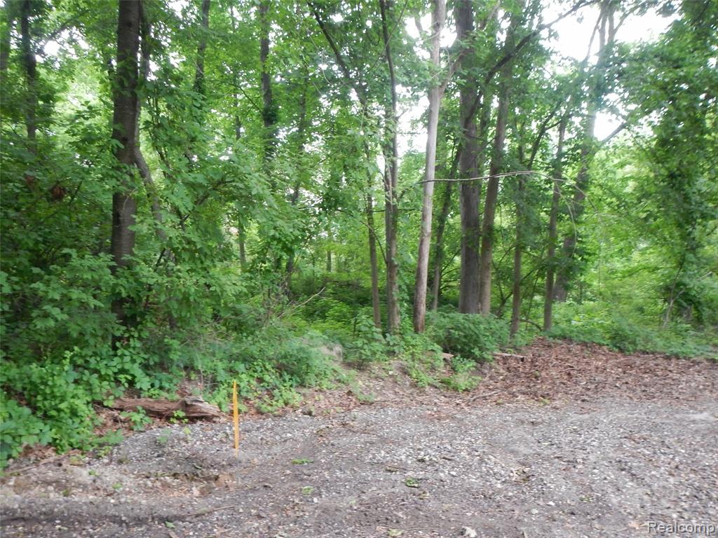 00 Johnson Drive | Lot 2, Lake Orion, MI 48362