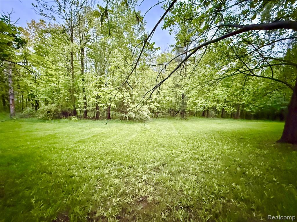 7590 Dean Road, Fenton, MI 48430 — Photo 6