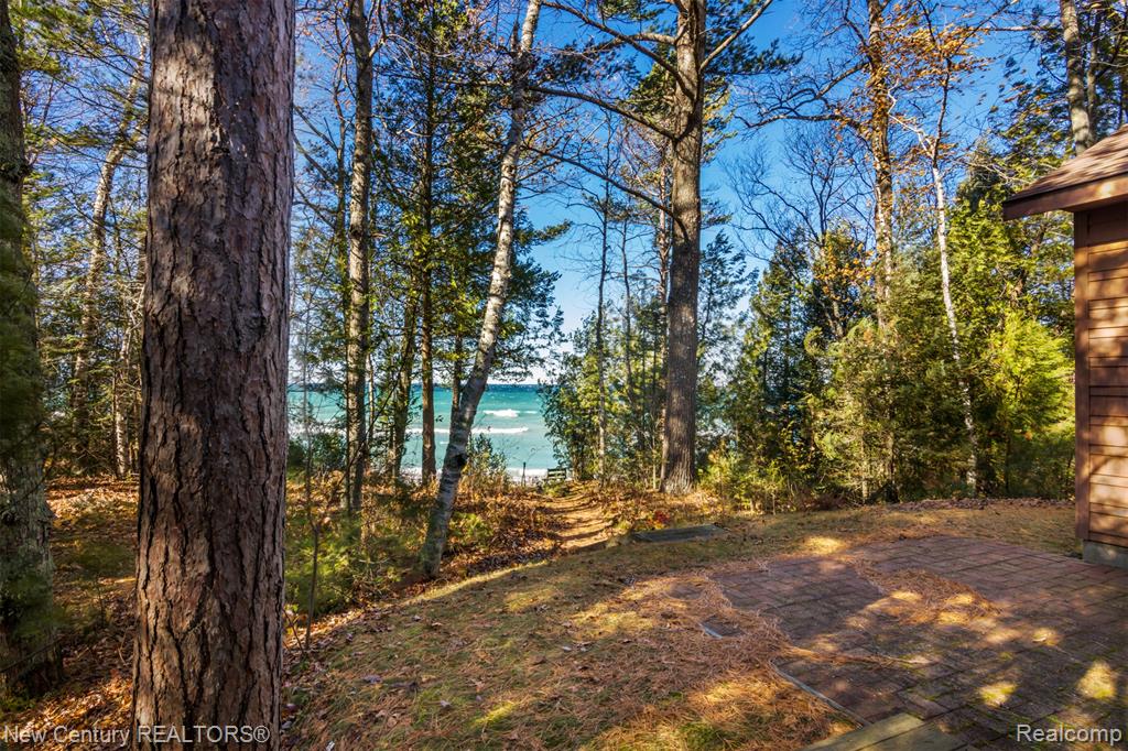 5971 N Birchwood Road, Leland, MI 49654 — Photo 11