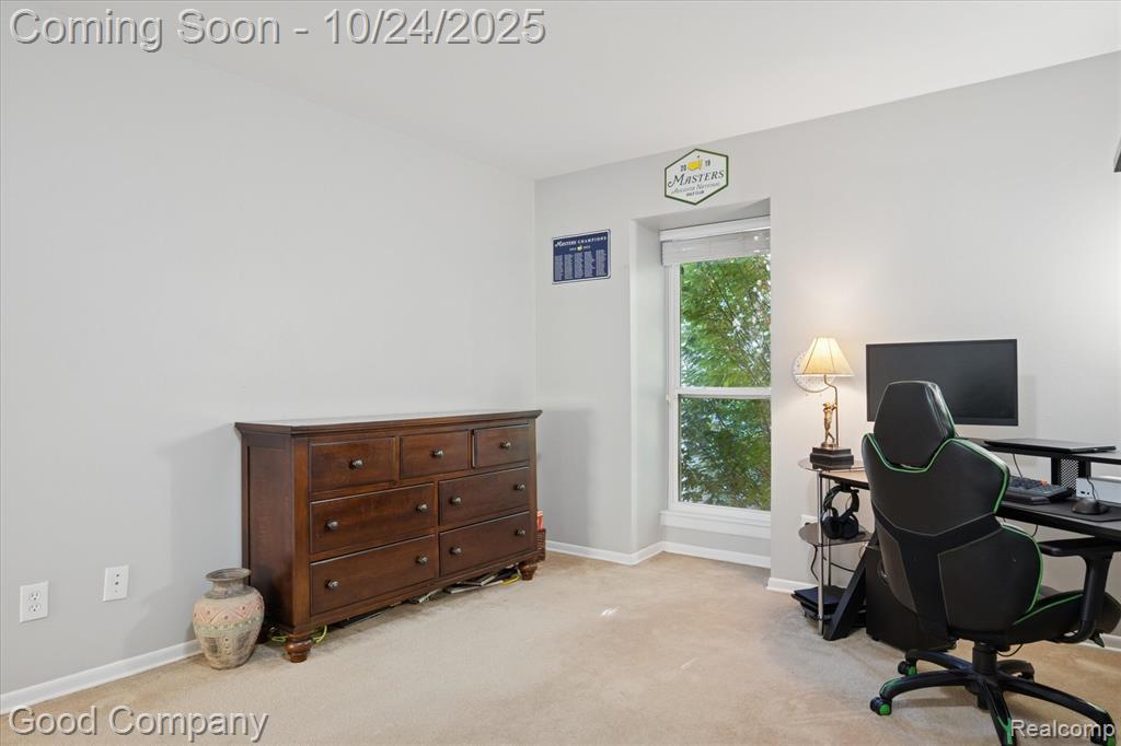 745 Randolph Street, 223, Northville, MI 48167 — Photo 20