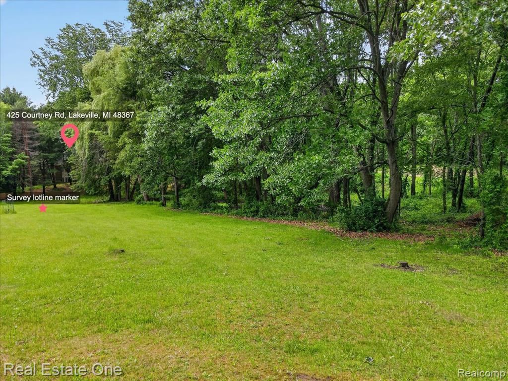 425 Courtney Road, Leonard, MI 48367 — Photo 87