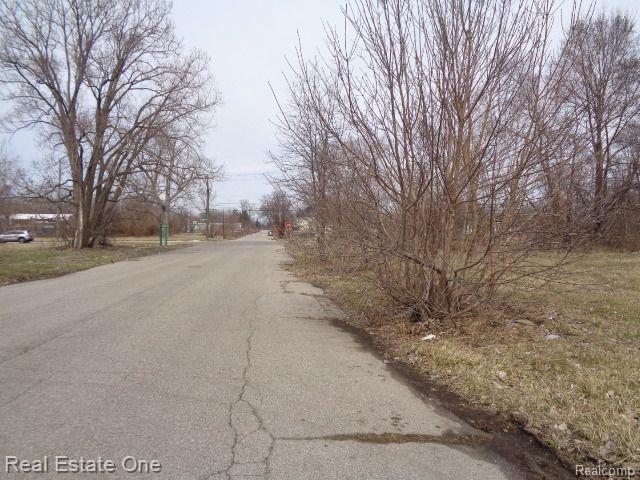 600 CONCORD Street, Detroit, MI 48207 — Photo 5