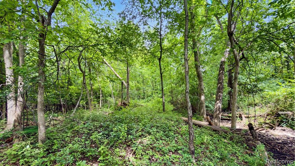 Vacant Lot- Judson Rd-Judson Park Sub, Rochester Hills, MI 48306 — Photo 20