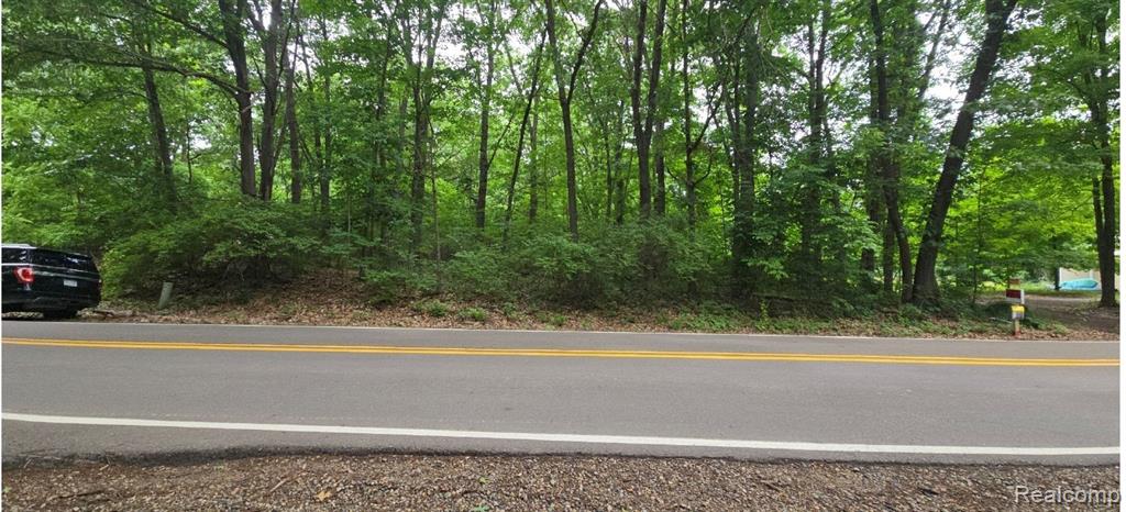 0 McGregor Road, Pinckney, MI 48169 — Photo 3