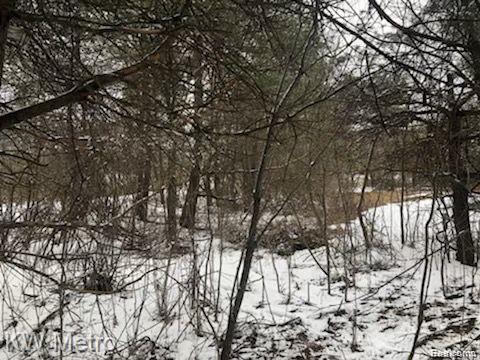 1135 N Baldwin Road, Oxford, MI 48371 — Photo 9