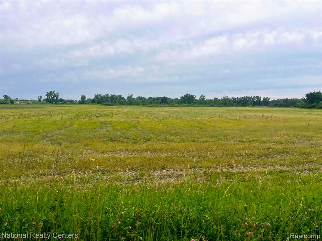 PARCEL F SHARRARD Road, Allenton, MI 48002 — Photo 2