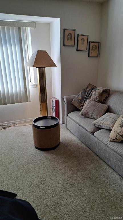 1 W WILLIAMSBURG TOWNE Street E, Southfield, MI 48075 — Photo 26
