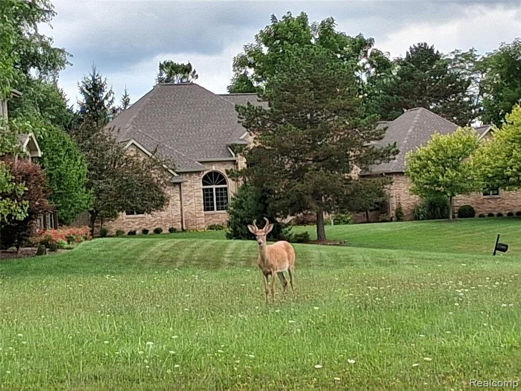 lot 21 Burlwood Circle, Grand Blanc, MI 48439 — Photo 14