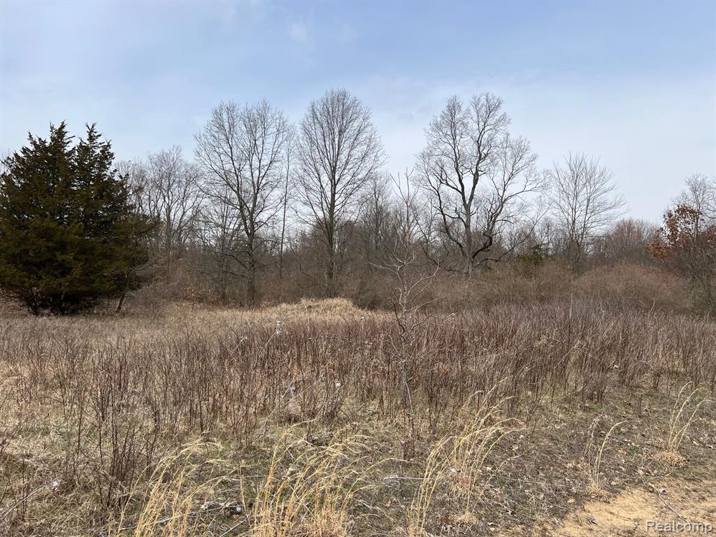 5231 LONSBERRY Road, Columbiaville, MI 48421 — Photo 22